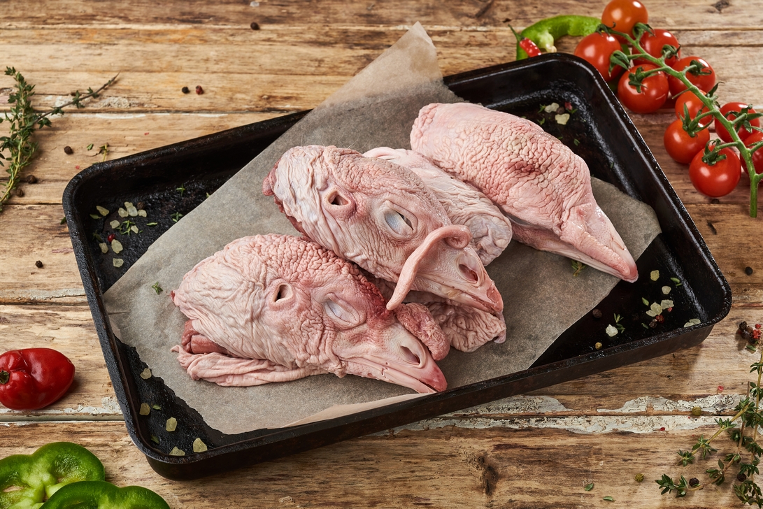 Голови індичі