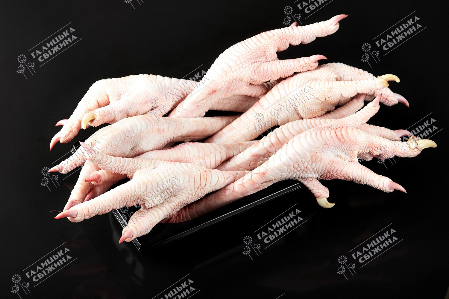 Ноги індичі