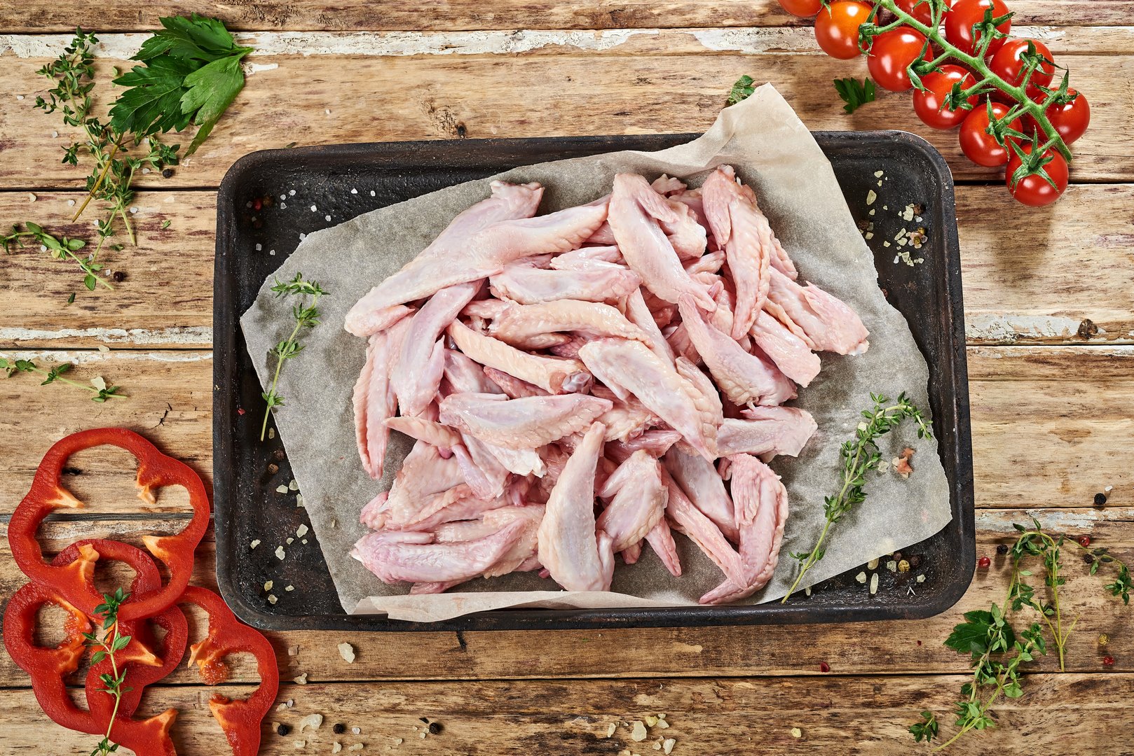 Фаланга куряча