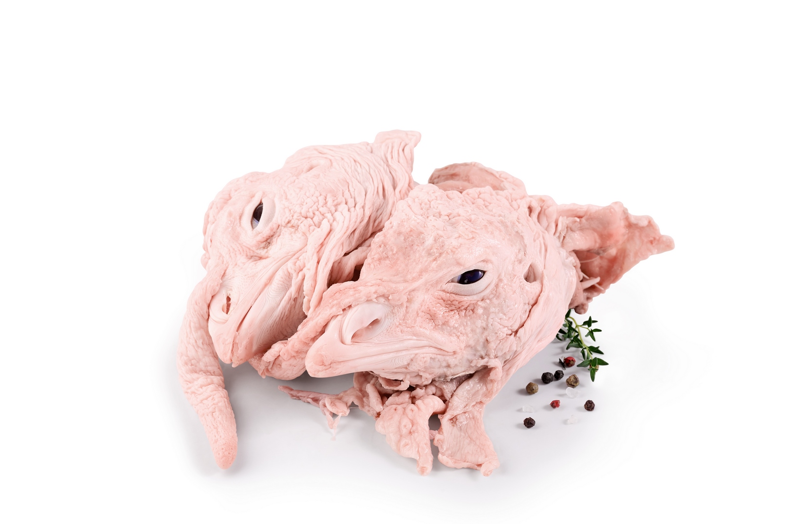 Голови індичі