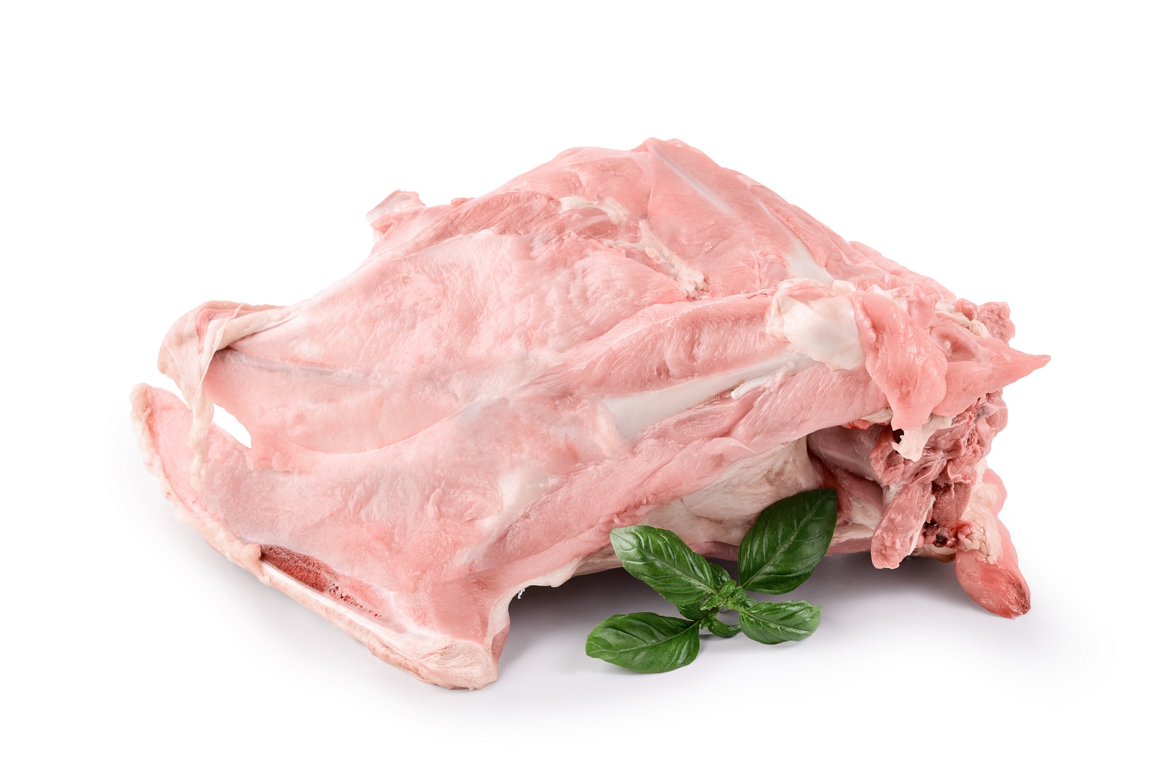 Корпус індичий