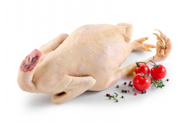 Курка “Домашня”