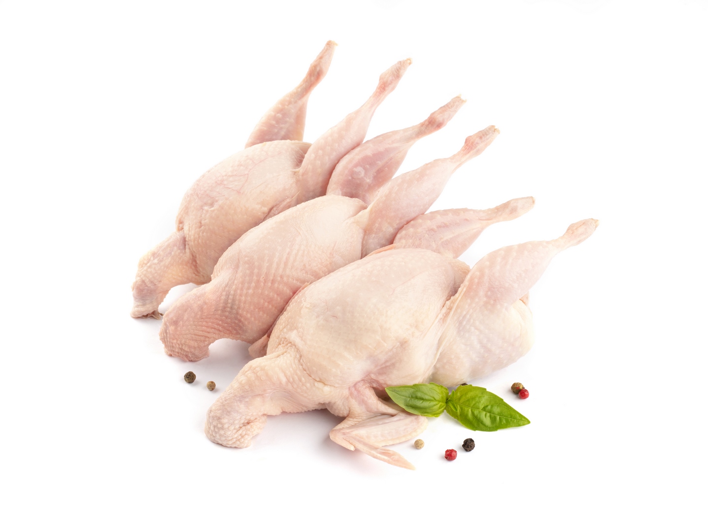 Тушка перепілки